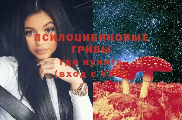 ГАЛЛЮЦИНОГЕННЫЕ ГРИБЫ Баксан