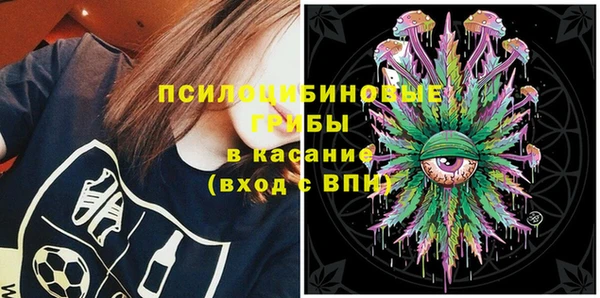 ГАЛЛЮЦИНОГЕННЫЕ ГРИБЫ Баксан