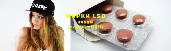 ГАЛЛЮЦИНОГЕННЫЕ ГРИБЫ Баксан
