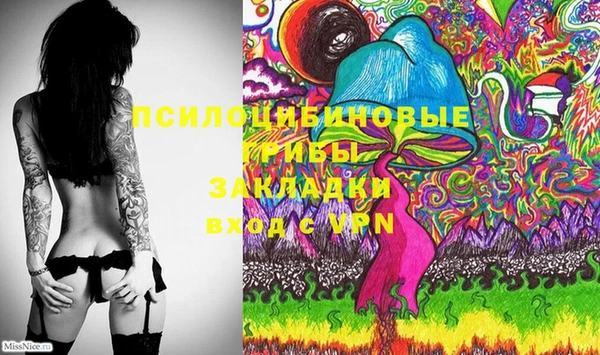 ГАЛЛЮЦИНОГЕННЫЕ ГРИБЫ Баксан