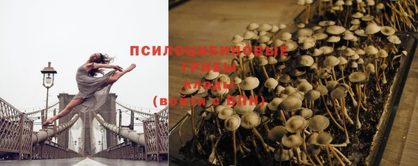 дмт Балахна